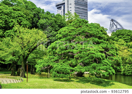 小石川後樂園,東京,御泉水一棵松 小石川後樂園,東京,御泉水一棵松 93612795