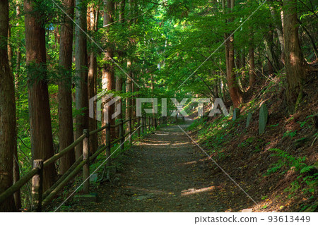 Fukiware Valley Promenade Hiking Course Around Fukiware Falls Early Summer Scenery 93613449