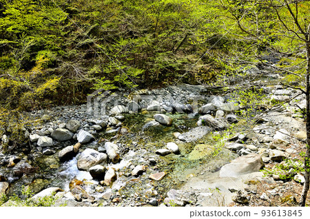 河內川西丹澤白石澤的清新綠地 93613845