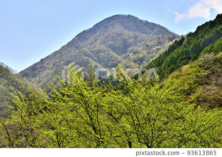 Nishitanzawa Mt. Hokizawa Gongen in the fresh greenery Nishitanzawa Mt. Hokizawa Gongen in the fresh greenery 93613865