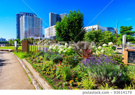 東京都江東區豐洲市的城市景觀，豐洲六丁目第二公園和塔式公寓 93614179
