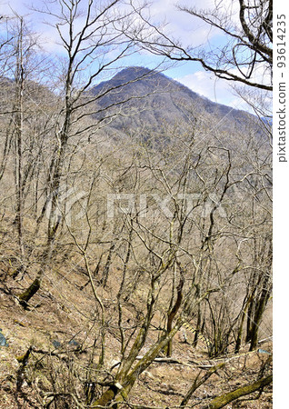丹澤白石澤山的大室山 丹澤白石澤山的大室山 93614235