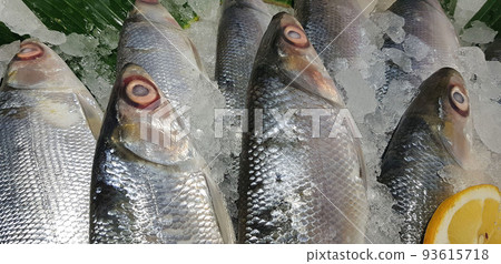 fresh fishery product milkfish or Chanidae or Cretaceous or tautonym or bandeng or bolu or in the market fresh fishery product milkfish or Chanidae or Cretaceous or tautonym or bandeng or bolu or in the market 93615718