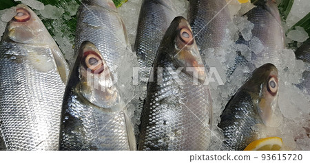 fresh fishery product milkfish or Chanidae or Cretaceous or tautonym or bandeng or bolu or in the market fresh fishery product milkfish or Chanidae or Cretaceous or tautonym or bandeng or bolu or in the market 93615720