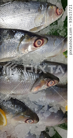 fresh fishery product milkfish or Chanidae or Cretaceous or tautonym or bandeng or bolu or in the market fresh fishery product milkfish or Chanidae or Cretaceous or tautonym or bandeng or bolu or in the market 93615721