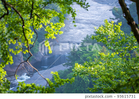 Fukiware Falls promenade View from near the observation platform Early summer scenery Fukiware Falls promenade View from near the observation platform Early summer scenery 93615731