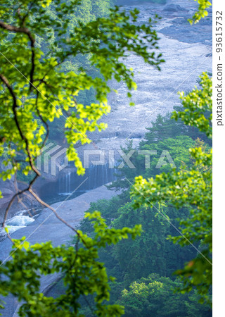 Fukiware Falls promenade View from near the observation platform Early summer scenery Fukiware Falls promenade View from near the observation platform Early summer scenery 93615732