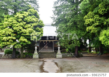 Atsugi City Ono Shrine Worship Hall, Precincts and Fresh Greenery Atsugi City Ono Shrine Worship Hall, Precincts and Fresh Greenery 93615757