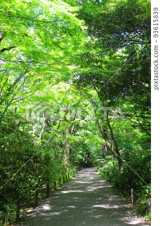 本丸金澤城跡 93615839