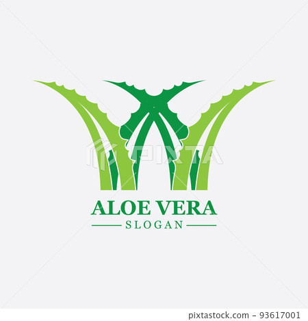 Green plant aloe vera logo vector icon symbol many benefits Green plant aloe vera logo vector icon symbol many benefits 93617001