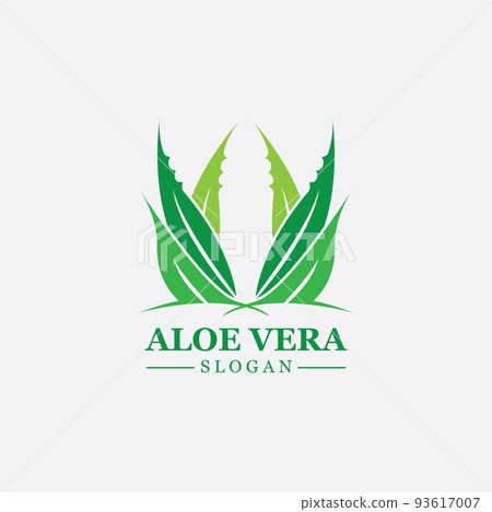 Green plant aloe vera logo vector icon symbol many benefits 93617007