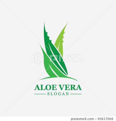 Green plant aloe vera logo vector icon symbol many benefits Green plant aloe vera logo vector icon symbol many benefits 93617008