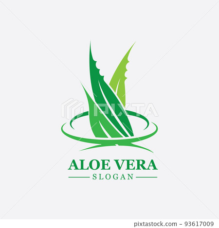 Green plant aloe vera logo vector icon symbol many benefits 93617009