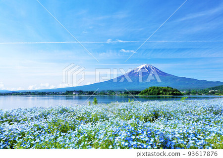初夏絕景：富士山和海參 93617876