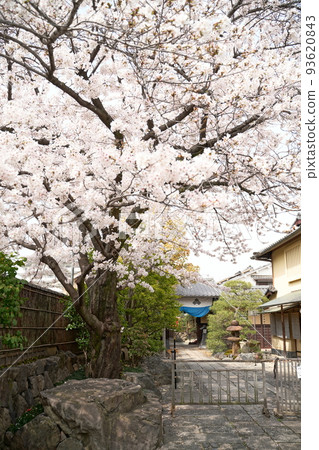 Shinsengumi Tomb Shinsengumi Tomb 93620843