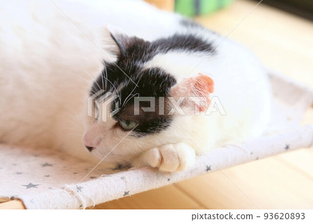 一名艾滋病攜帶者，與貓真菌性皮膚癬菌病引起的耳禿和畸形的機會性感染作鬥爭，並接受手術切除耳部腫瘤 93620893