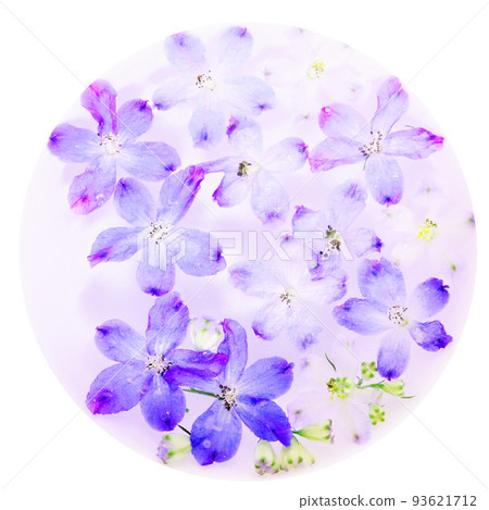 漂浮在水中的飛燕草花的圖像 漂浮在水中的飛燕草花的圖像 93621712