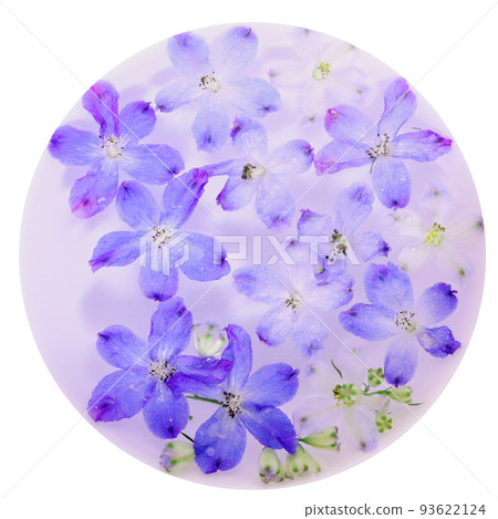 漂浮在水中的飛燕草花背景 [圓形剪報] 93622124