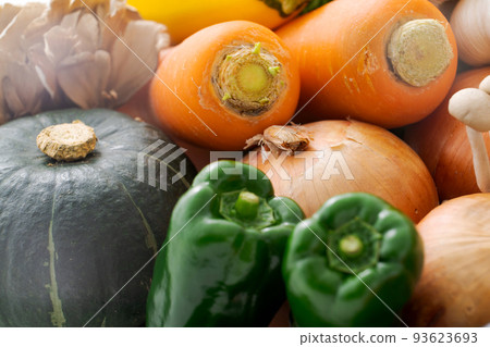 Assorted summer vegetables 93623693