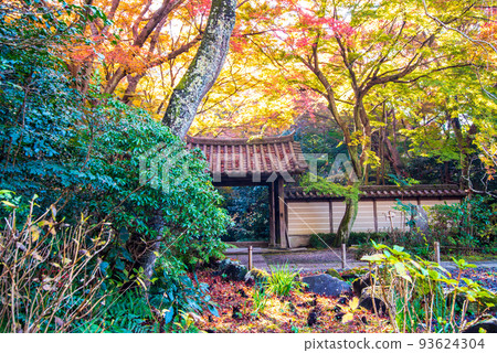 秋天的鎌倉 93624304