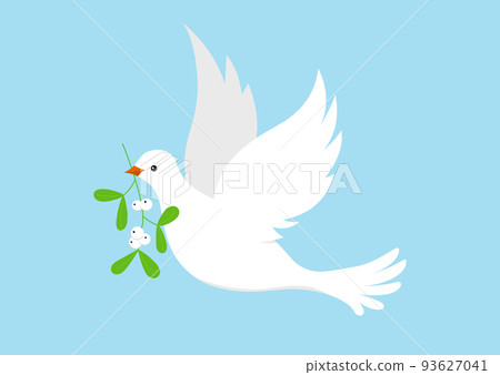 Dove with christmas mistletoe branch isolated on white background. Dove with christmas mistletoe branch isolated on white background. 93627041