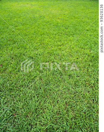 一面之草甸 93628136