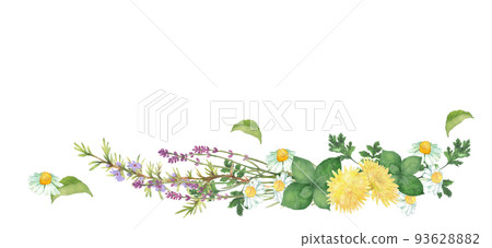 Bouquet decoration of herbs painted by watercolor Bouquet decoration of herbs painted by watercolor 93628882