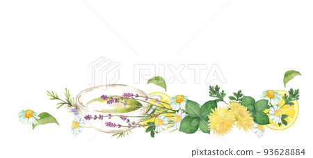 Herbs and lemons painted by watercolor, herbal tea decoration Herbs and lemons painted by watercolor, herbal tea decoration 93628884