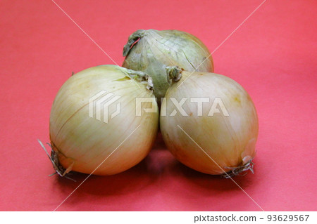 新鮮洋蔥 7 93629567