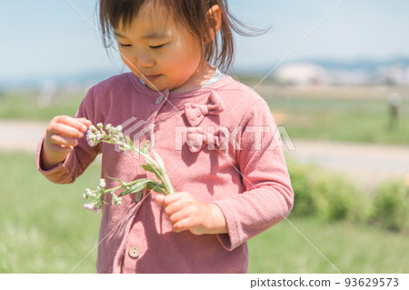 Child (girl) playing picking flowers Child (girl) playing picking flowers 93629573