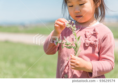 Child (girl) playing picking flowers Child (girl) playing picking flowers 93629574