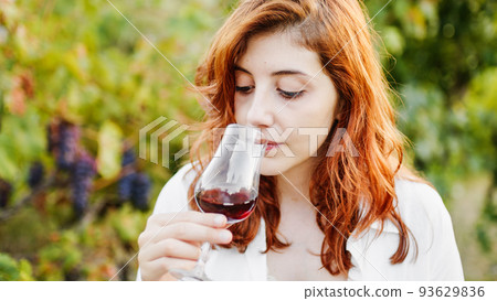 Agronomist smells red wine among the vineyards during the harvest Agronomist smells red wine among the vineyards during the harvest 93629836