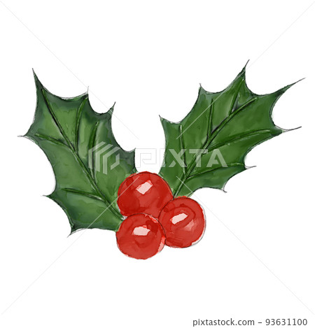 Watercolor style holly holly vector illustration 93631100