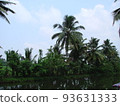 Palm tree in India against the blue sky and clouds 93631333