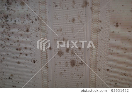 White wallpaper stained black with mold 93631432