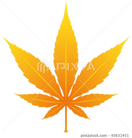 一片秋葉的插圖(黃色) 一片秋葉的插圖(黃色) 93631451