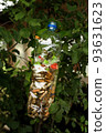 Many cigarette butts in plastic bottle hanging on tree. Ecology and cleanliness. 93631623