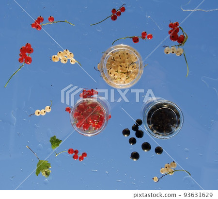 Berries colorful assorted mix of red, white, black currant on blue sky background 93631629