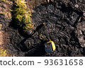 Crawler excavator cleans the pond of silt and algae. Earthworks service, cleaning of water bodies 93631658