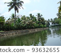 Palm trees against the blue sky and lake 93632655