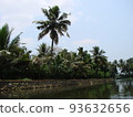 Blue sky and lake, Palm trees in India 93632656