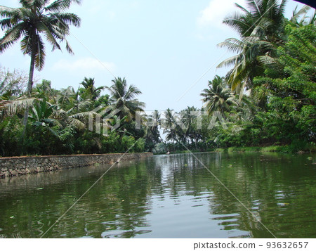 Palm trees in India against the blue sky and lake Palm trees in India against the blue sky and lake 93632657