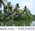 Palm trees in India, blue sky and lake 93632658