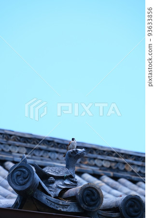 Stroll through the streets of Kurashiki 93633856