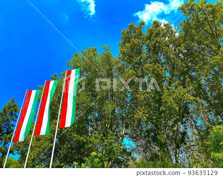 匈牙利夏季 93635129