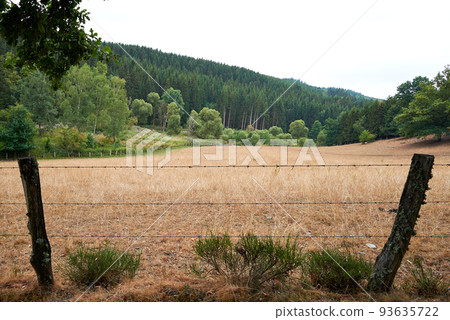 Rural path and barbed wire fence against burned meadows 93635722