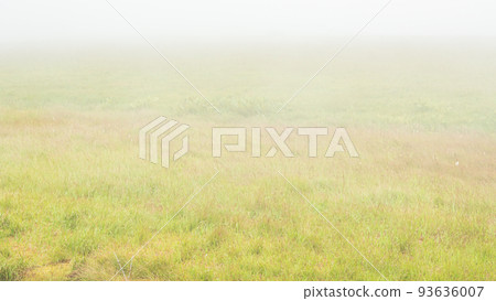 Shinshu / Kirigamine / Yashimagahara Marsh Shinshu / Kirigamine / Yashimagahara Marsh 93636007