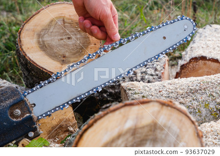 Checking and adjusting the chain tension of the chain saw. A worker checks the tension of the saw chain against a background of sawn logs. 93637029