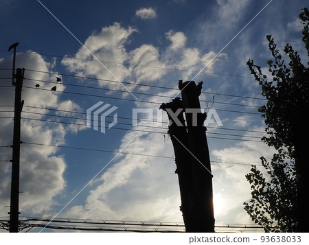 Wood silhouette Wood silhouette 93638033