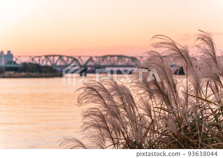“埼玉縣”黃昏風景中的蒲葦和荒川河床,秋天 “埼玉縣”黃昏風景中的蒲葦和荒川河床,秋天 93638044